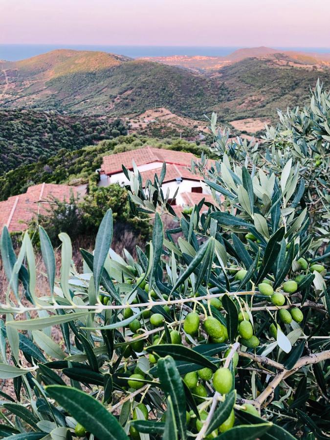 Brunella Trasicca B&B מראה חיצוני תמונה